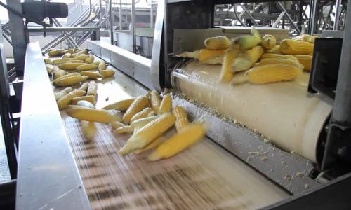 proceso-de-fabricacion-maiz-dulce-en-latas.jpg